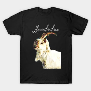 LLANDUDNO GREAT ORME GOAT WHITE T-Shirt